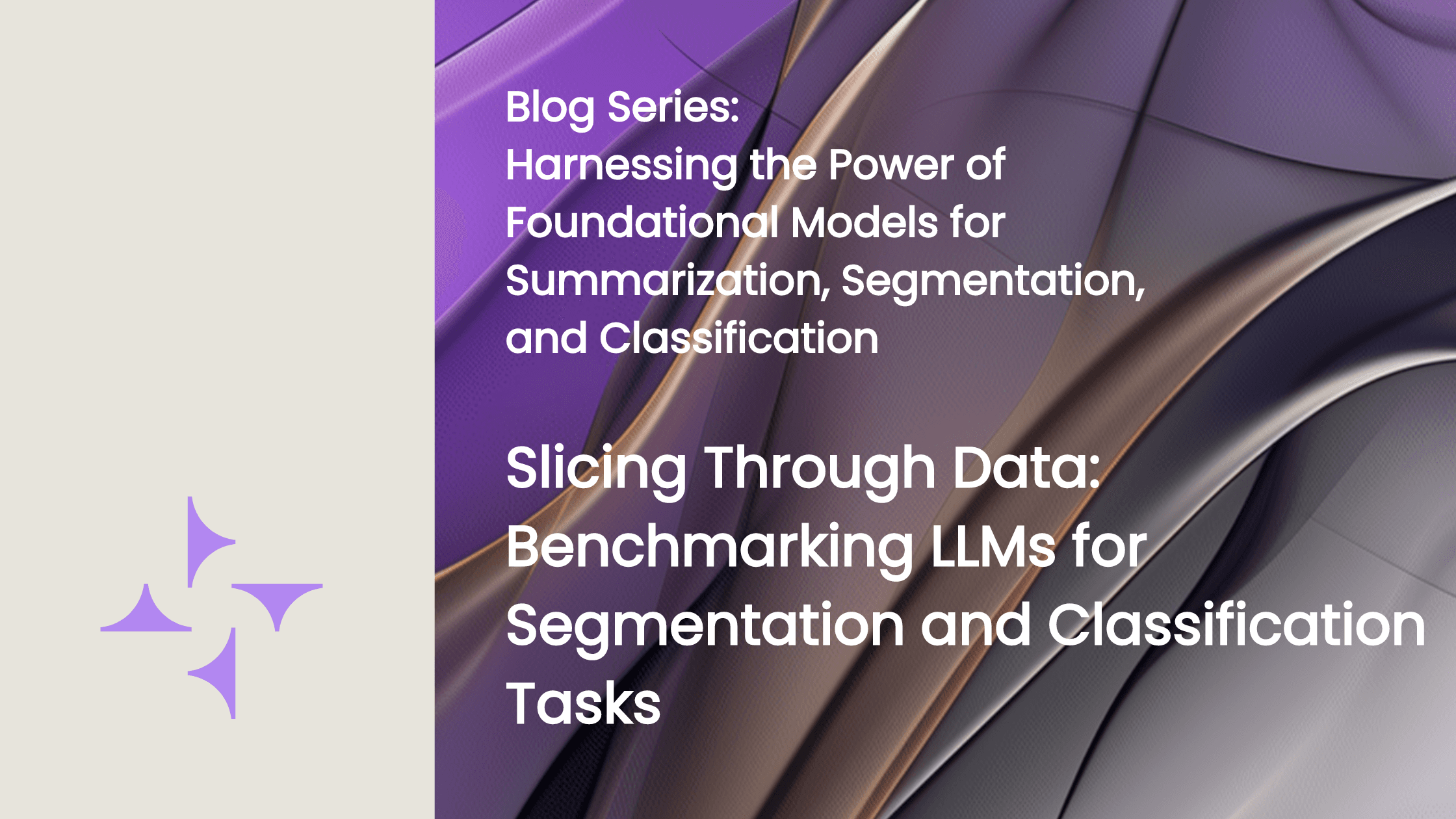 Slicing Through Data: Benchmarking LLMs for Segmentation and Classification Tasks
