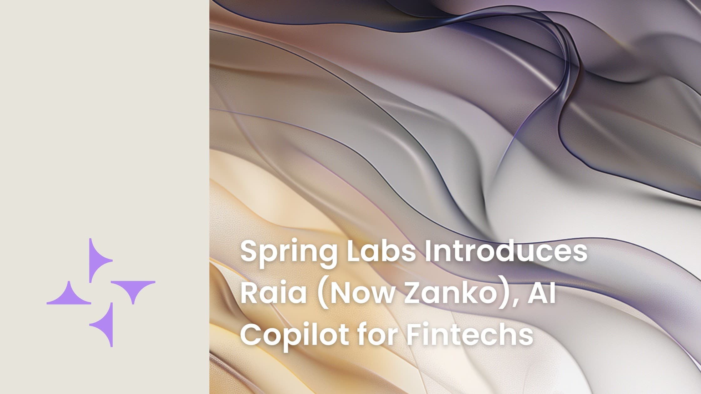 Spring Labs Introduces Raia (Now Zanko), AI Copilot for Fintechs